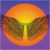 Icarus Wings