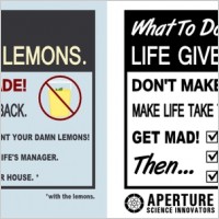 'If life gives you lemons' Vector