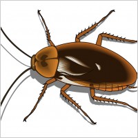 insect 25