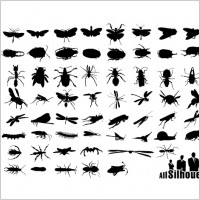 
								Insect Silhouettes.							