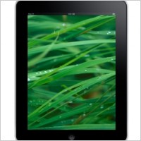 iPad Front Grass Background