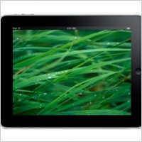 iPad Landscape Grass Background