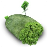 Island Stone