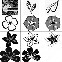 it's really easy to make floral patterns with this set. there is 10 brush