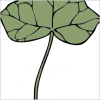 Ivy Leaf clip art