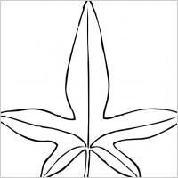 Ivy Leaf clip art