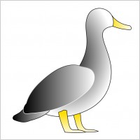 Jonathon's Duck
