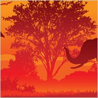 Jungle elephant  Giraffe  Goat