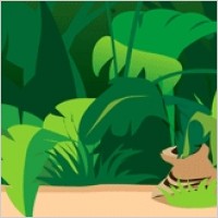 Jungle Scene Background 