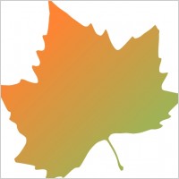 Kattekrab Plane Tree Autumn Leaf clip art