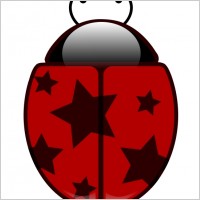 Lady Bird