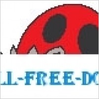 Ladybug 02