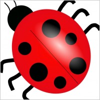 Ladybug clip art Free vector in Open office drawing svg ( .svg ) format