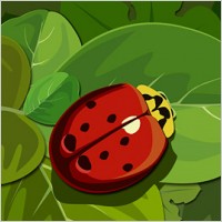 Ladybugs On the Green Leaf