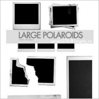 large polaroid brushes