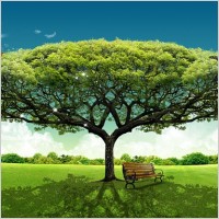 large trees and grassland elements psd layered