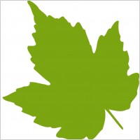 leaf 04