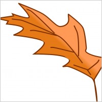 Leaf 4