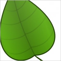 Leaf clip art