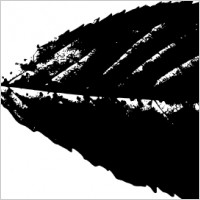 leaf silhouette 2