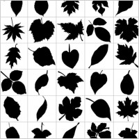 Leaf Silhouettes   Free Vector Graphic