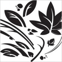Leaf vector