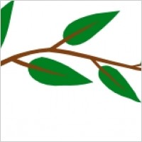 Leaf Vine clip art