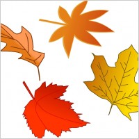 Leafs
