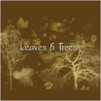 Leaves and trees