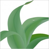 Leaves  clip art