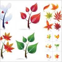 Leaves Vectors