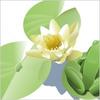 Leland Mcinnes Frog On A Lily Pad clip art