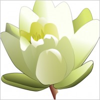 Leland Mcinnes Water Lily clip art