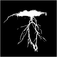 Lightning clip art