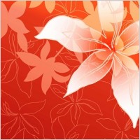 Lily Flowers Vector Graphic