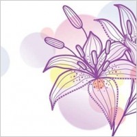 Lily Vecotr Illustration