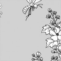 Line drawing of flowers -15