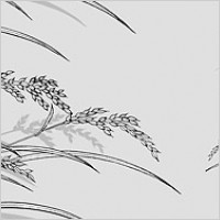 Line drawing of flowers -23