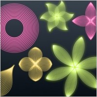 Linear Fleurs