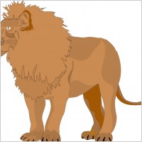 Lion 3