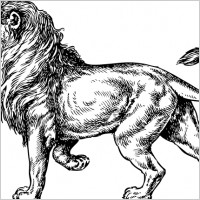 Lion clip art