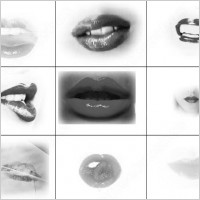 lips brush