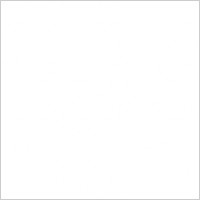 Longhorn Glass Logo