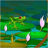Lotus leaf frogs