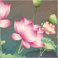 Lotus theme vector material