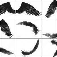 made in/for adobe photoshop 7.0. a brush