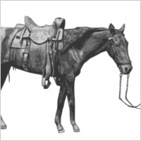 Man and his Horse