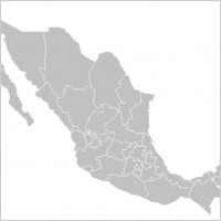 Mapa Mexico Vector