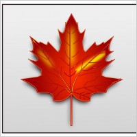 maple leaf