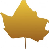 maple leaf